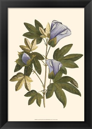 Framed Lavender Floral II Print