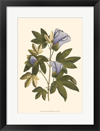 Framed Lavender Floral II Print