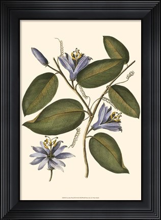 Framed Lavender Floral III Print