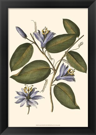 Framed Lavender Floral III Print