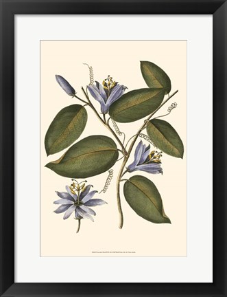 Framed Lavender Floral III Print