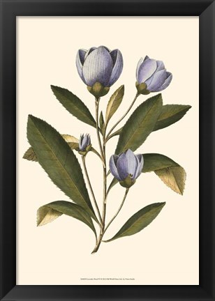 Framed Lavender Floral IV Print