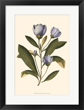 Framed Lavender Floral IV Print