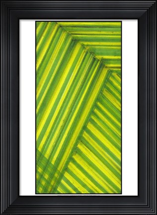 Framed Line Study Green Print
