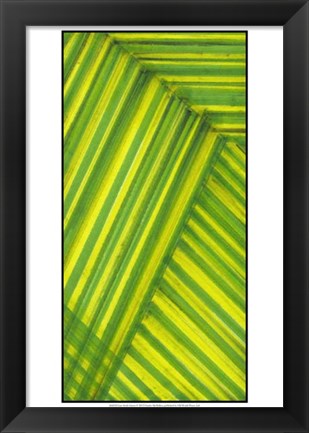 Framed Line Study Green Print