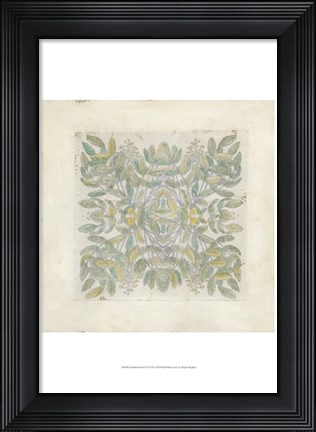 Framed Quadrant Floral IV Print