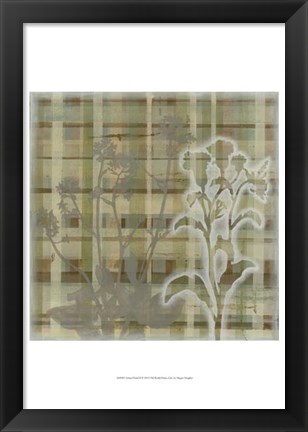 Framed Tartan Floral II Print
