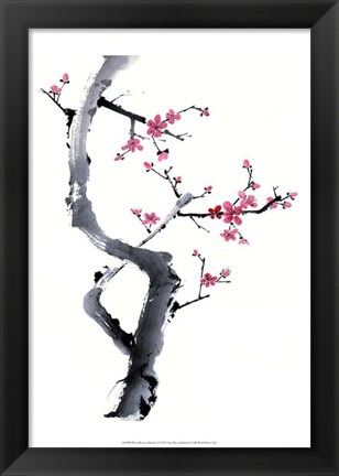 Framed Plum Blossom Branch I Print