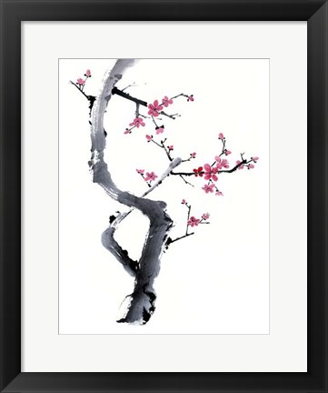 Framed Plum Blossom Branch I Print