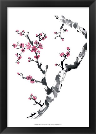 Framed Plum Blossom Branch II Print