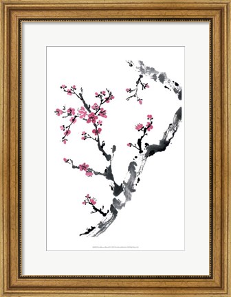 Framed Plum Blossom Branch II Print