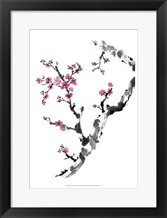 Framed Plum Blossom Branch II Print