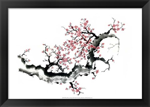 Framed Plum Blossom Branch III Print