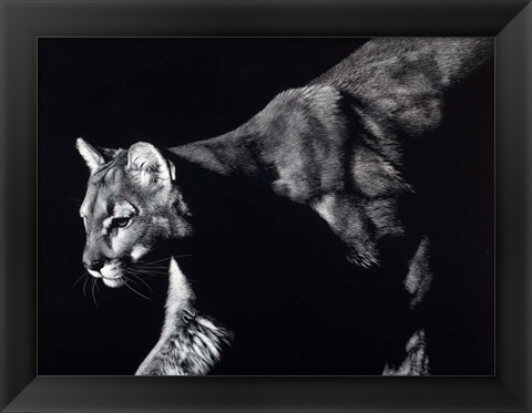 Framed Prowler Print