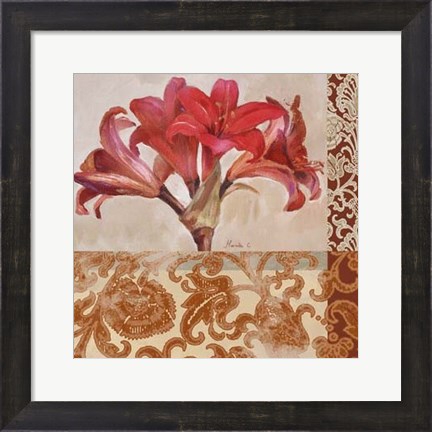 Framed Portrait of a Lily Print