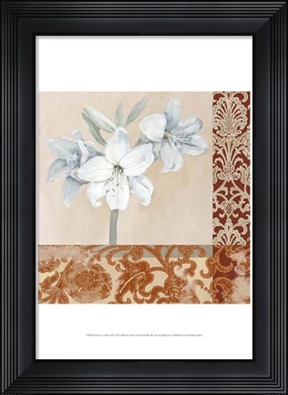 Framed Portrait of a White Lily Print