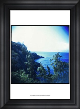 Framed Holga Hawaii II Print