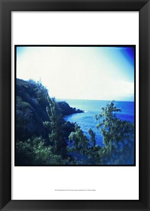 Framed Holga Hawaii II Print