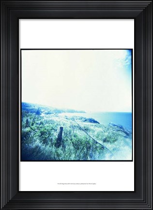Framed Holga Hawaii III Print