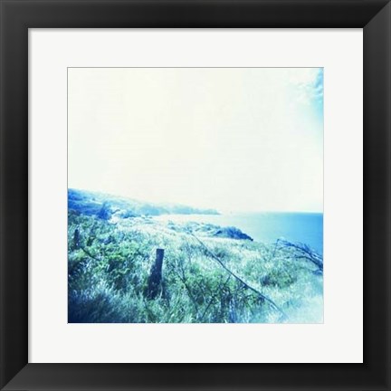 Framed Holga Hawaii III Print