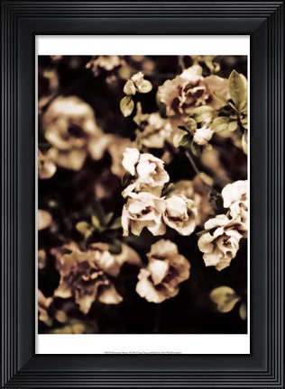 Framed Romantic Roses I Print