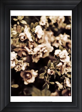 Framed Romantic Roses II Print