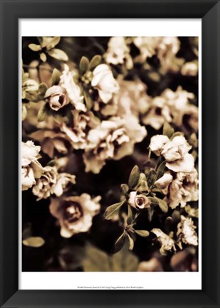 Framed Romantic Roses II Print