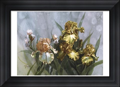 Framed Hadfield Irises I Print
