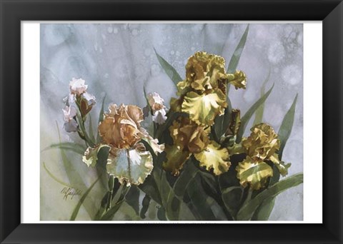 Framed Hadfield Irises I Print