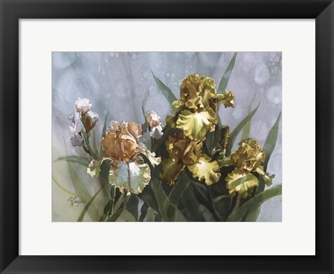 Framed Hadfield Irises I Print