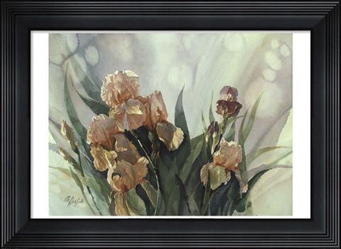 Framed Hadfield Irises II Print