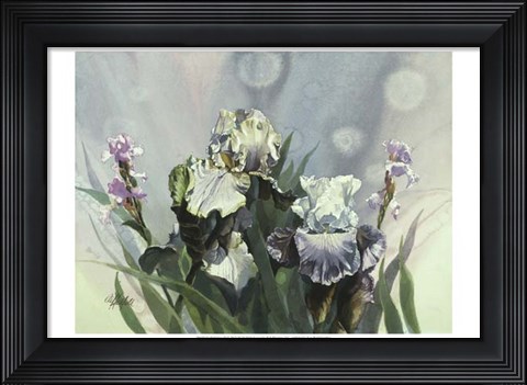 Framed Hadfield Irises III Print