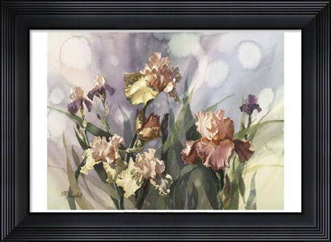 Framed Hadfield Irises V Print