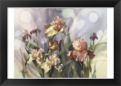 Framed Hadfield Irises V Print