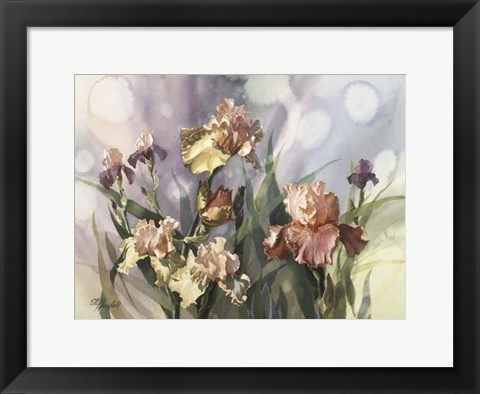 Framed Hadfield Irises V Print