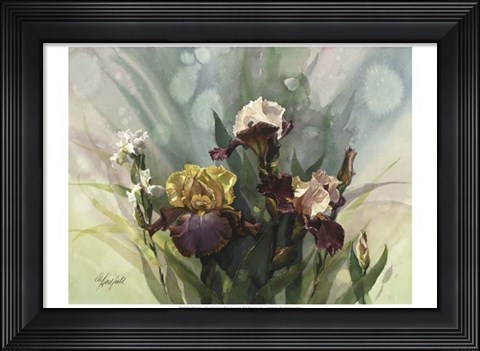 Framed Hadfield Irises VI Print