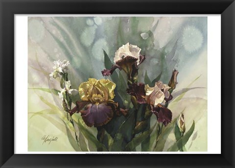 Framed Hadfield Irises VI Print