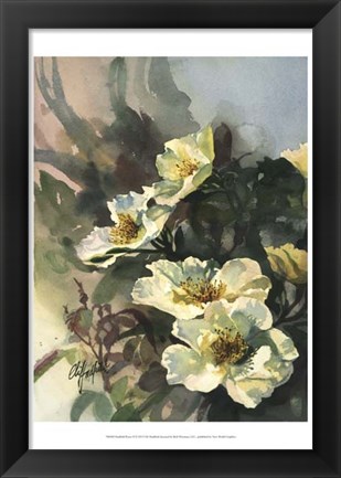 Framed Hadfield Roses II Print