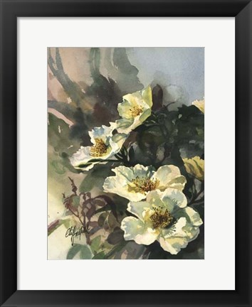 Framed Hadfield Roses II Print