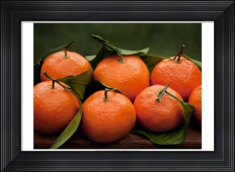 Framed Satsuma Tangerines I Print