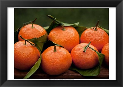 Framed Satsuma Tangerines I Print