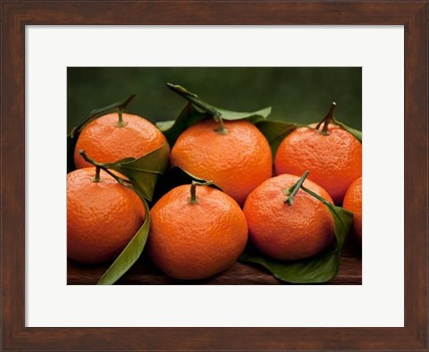 Framed Satsuma Tangerines I Print