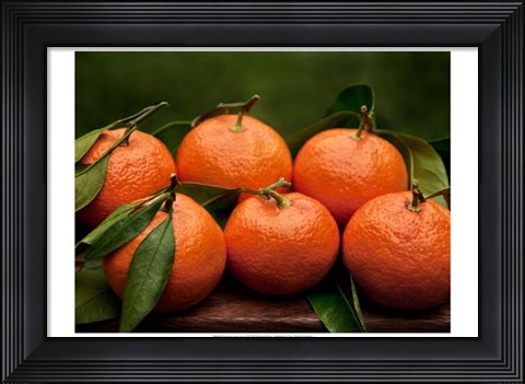 Framed Satsuma Tangerines II Print