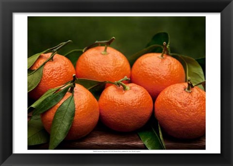 Framed Satsuma Tangerines II Print