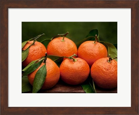 Framed Satsuma Tangerines II Print