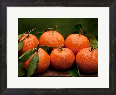 Framed Satsuma Tangerines II Print