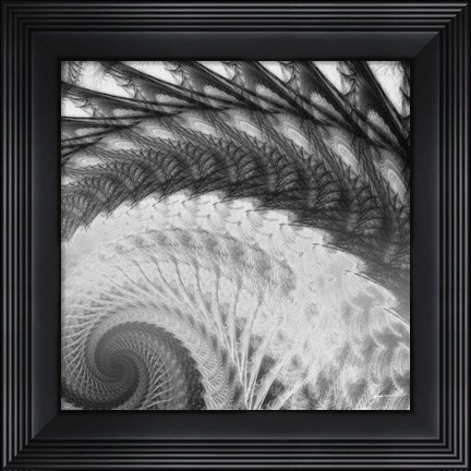 Framed Helix I Print