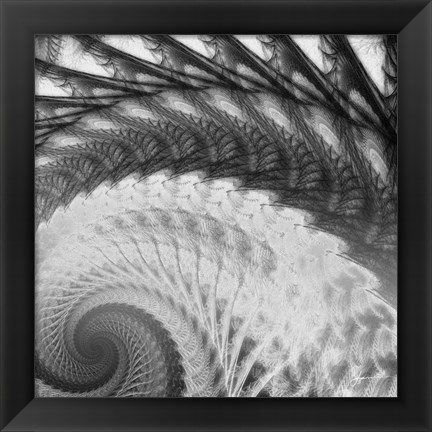 Framed Helix I Print