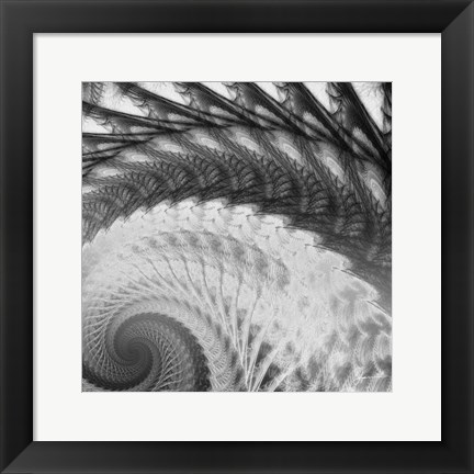 Framed Helix I Print