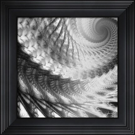 Framed Helix II Print